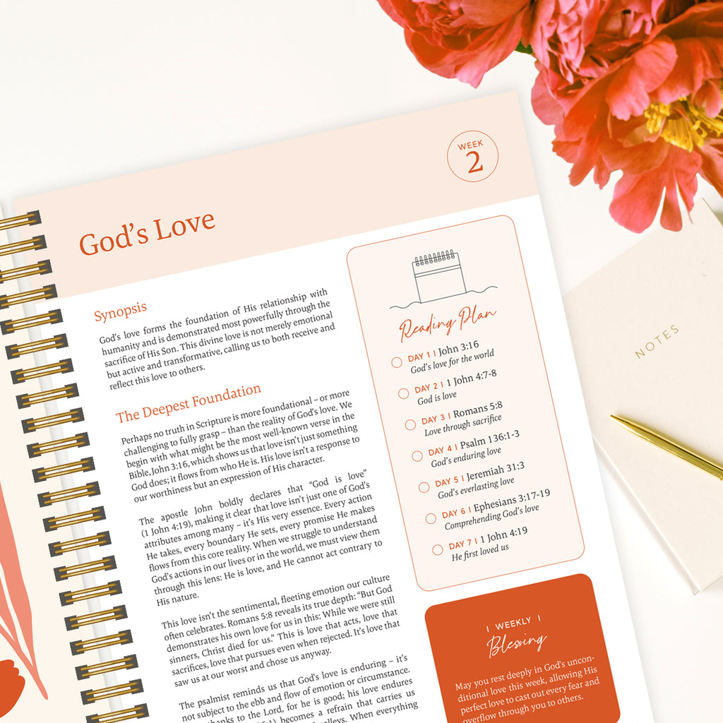 Bible In A Year Essentials (Hardcover)