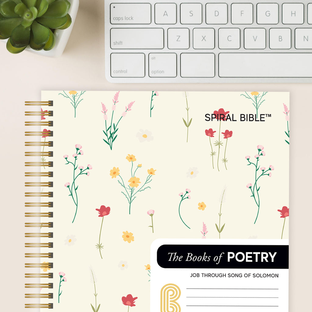 Spiral Bible™ - WEB - Job - Song of Solomon
