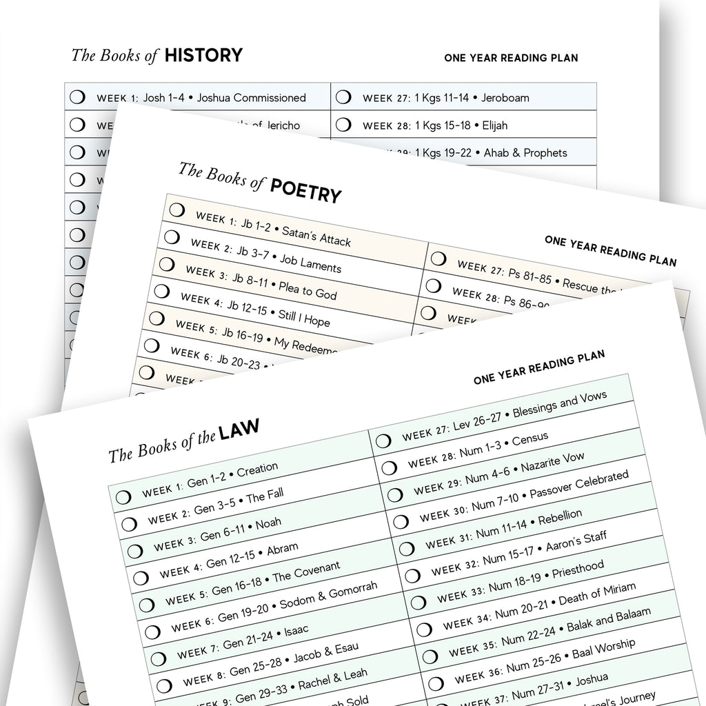 read-the-word-challenge-spiral-bible